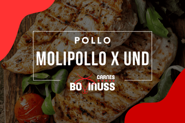 Molipollo x Unidad