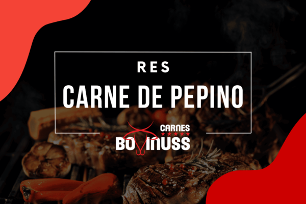 Carne de Pepino (Res)