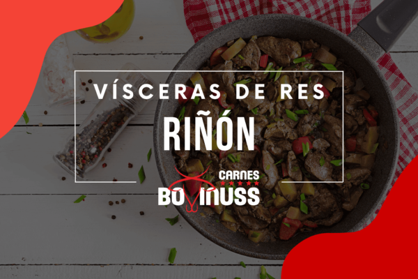 Riñón (Vísceras de Res)